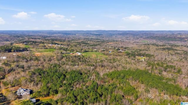 3710 EBELL ROAD, Oneonta, AL 35121