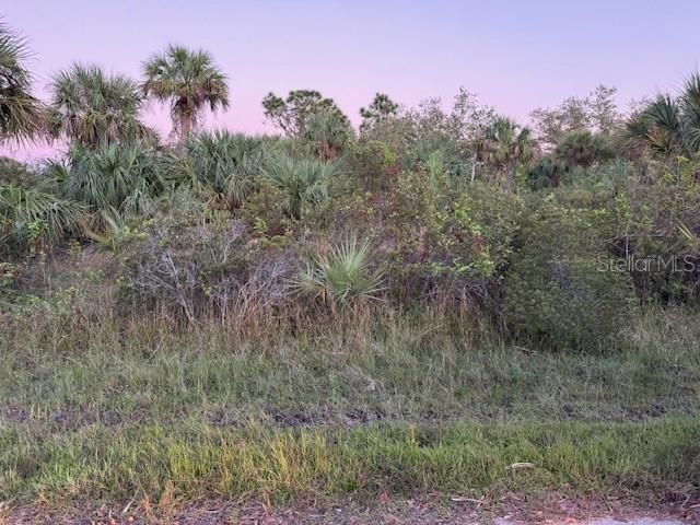 2106 RICKOVER STREET, Port Charlotte, FL 33953