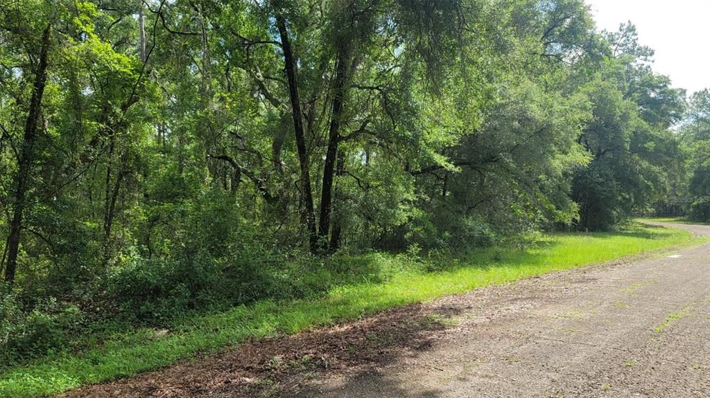 373 E AVONDALE DRIVE, Citrus Springs, FL 34434