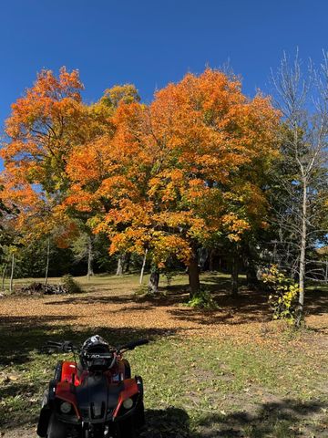 13276 Donnie Jay Lane, Detroit Lakes, MN 56501