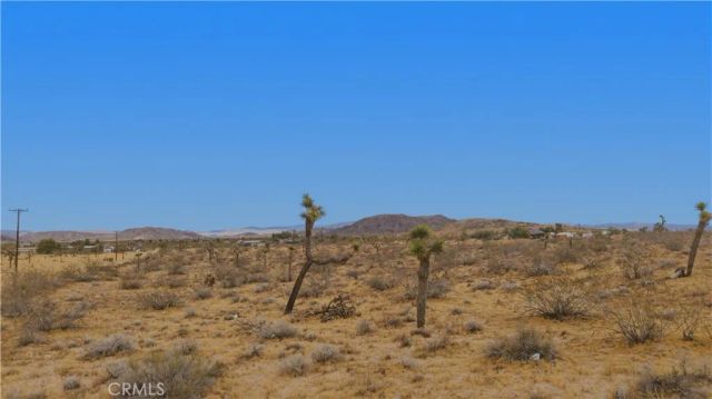 0 N Polands, Landers, CA 92285