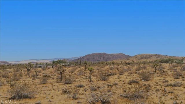 0 N Polands, Landers, CA 92285