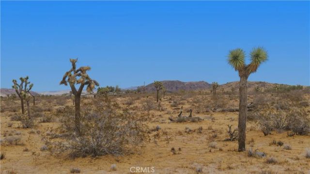 0 N Polands, Landers, CA 92285