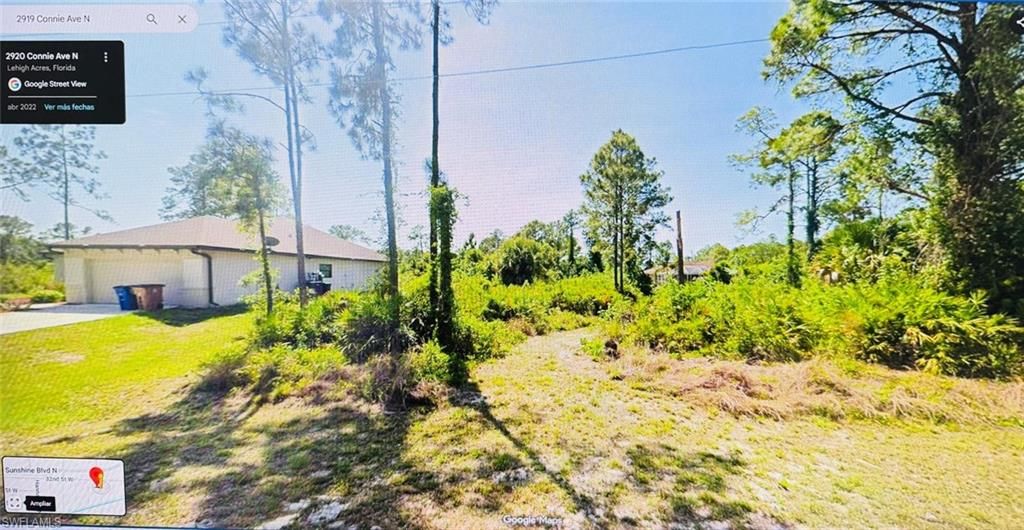 2919 Connie AVE N, LEHIGH ACRES, FL 33971 — exterior