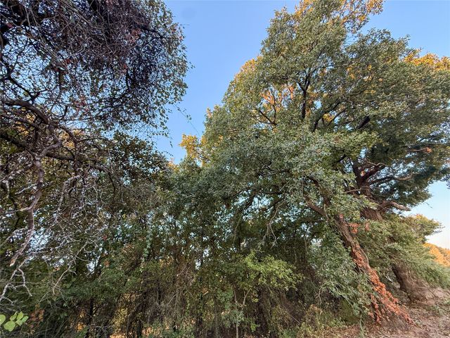 481 County Rd 1650, Chico, TX 76431