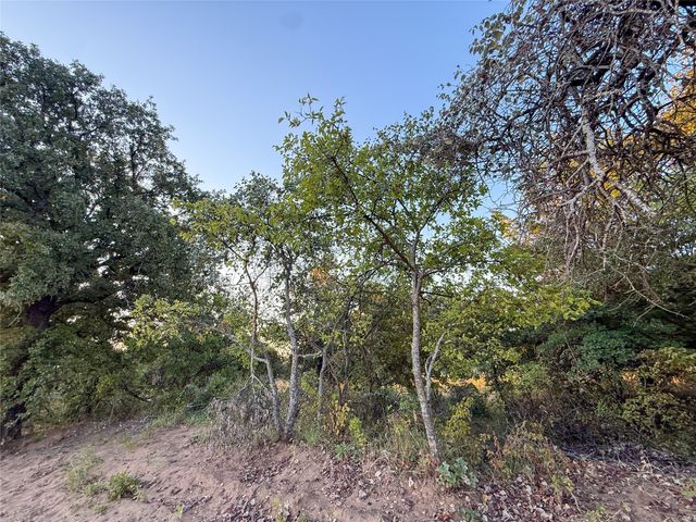 481 County Rd 1650, Chico, TX 76431