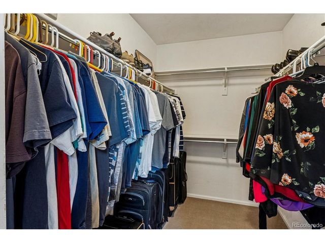 1004 Riddlewood Rd, Highlands Ranch, CO 80129