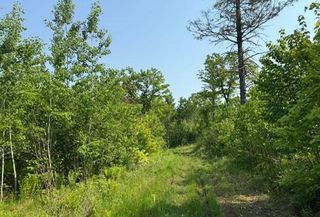 TBD County Road T, Dairyland, WI 54830
