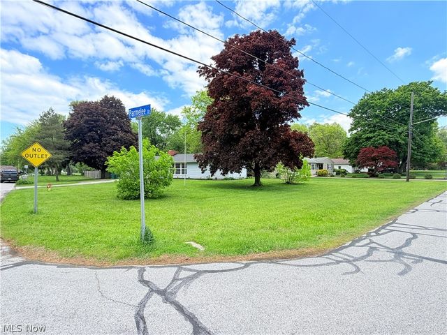 8803 Spring Valley Drive, Mentor, OH 44060
