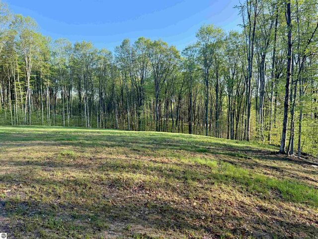 001 S Bright Road, Maple City, MI 49664