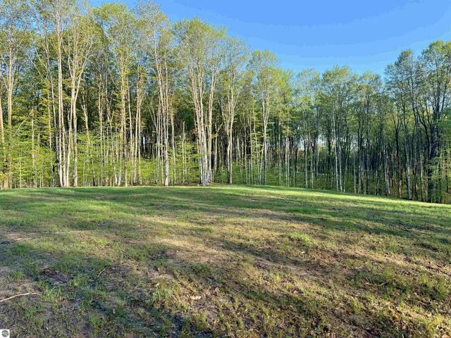 001 S Bright Road, Maple City, MI 49664