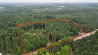 001 S Bright Road, Maple City, MI 49664