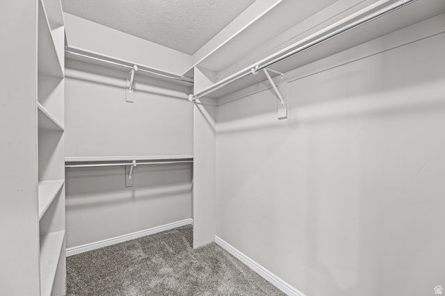 5355 W HALTON LN, West Valley City, UT 84120
