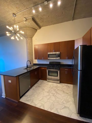 320 E 21 Street 404, Chicago, IL 60616