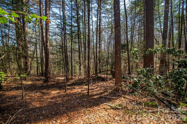 000 Camptown Road, Brevard, NC 28712