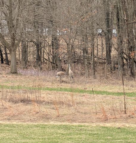 26808 2nd Avenue, Pine Grove Twp, MI 49010