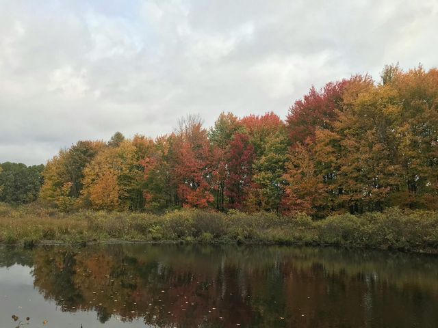 26808 2nd Avenue, Pine Grove Twp, MI 49010