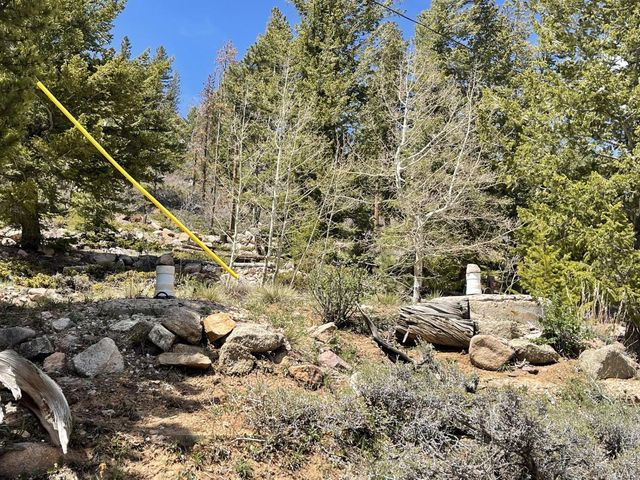 194 Mattapony Way, Red Feather Lakes, CO 80545