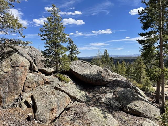 194 Mattapony Way, Red Feather Lakes, CO 80545