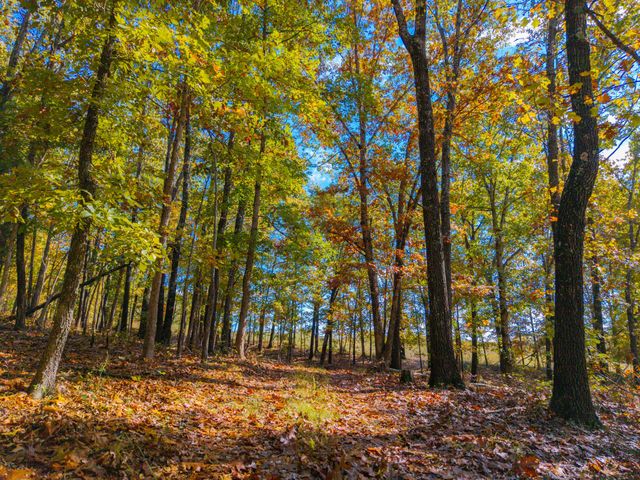 000 C-228 Tract #3, Norwood, MO 65717