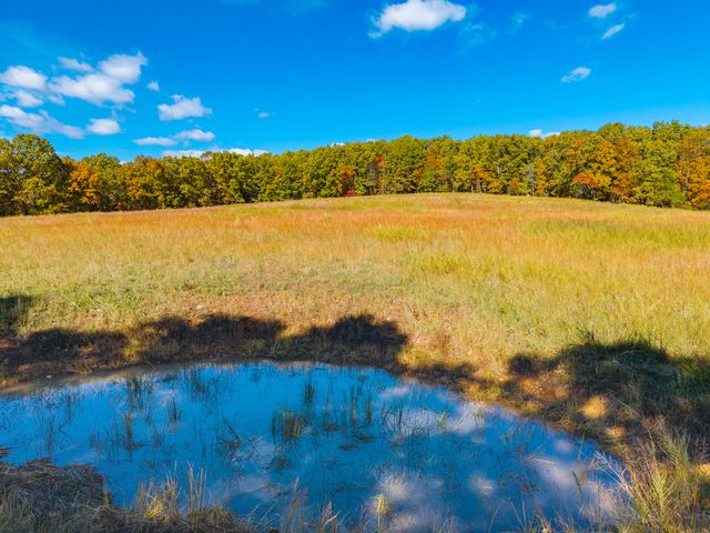 000 C-228 Tract #3, Norwood, MO 65717