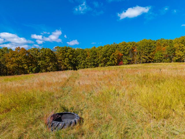 000 C-228 Tract #3, Norwood, MO 65717