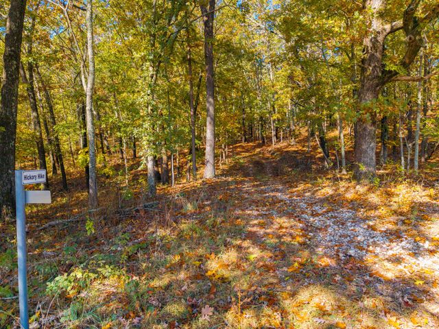 000 C-228 Tract #3, Norwood, MO 65717