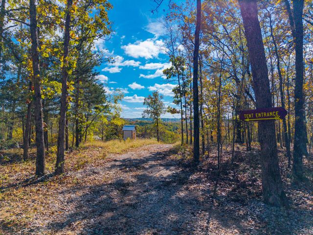 000 C-228 Tract #3, Norwood, MO 65717