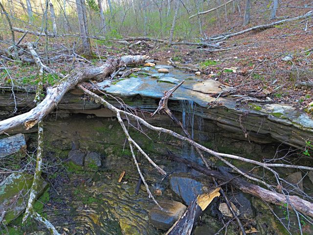 000 C-228 Tract #3, Norwood, MO 65717