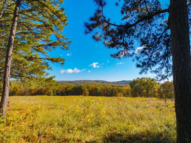 000 C-228 Tract #3, Norwood, MO 65717