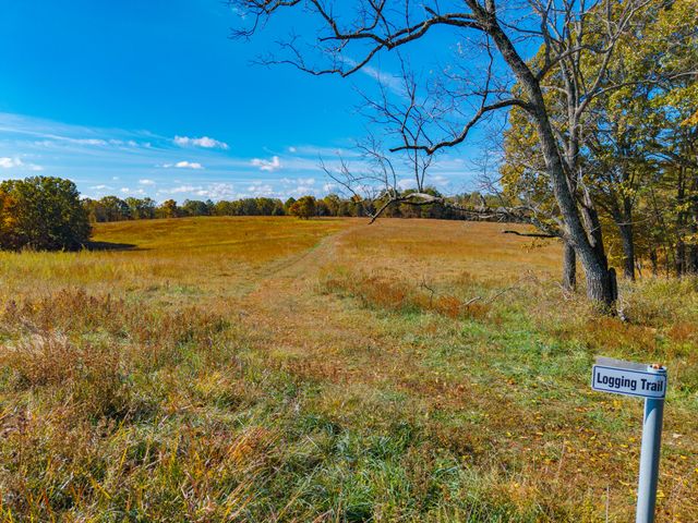 000 C-228 Tract #3, Norwood, MO 65717