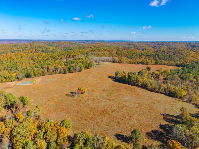 000 C-228 Tract #3, Norwood, MO 65717