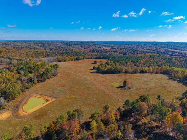 000 C-228 Tract #3, Norwood, MO 65717