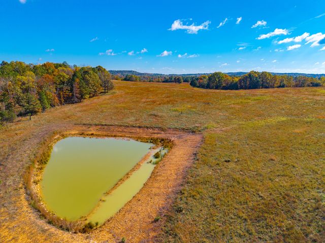 000 C-228 Tract #3, Norwood, MO 65717