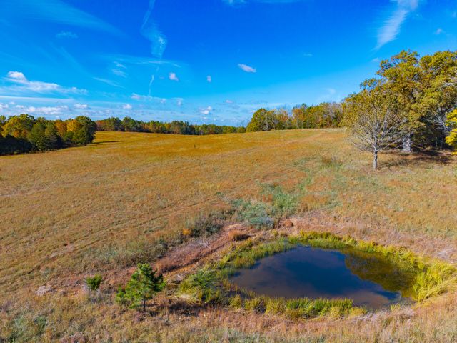 000 C-228 Tract #3, Norwood, MO 65717