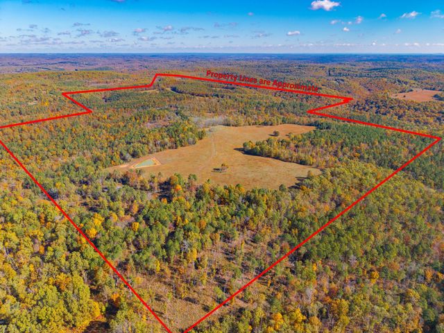 000 C-228 Tract #3, Norwood, MO 65717