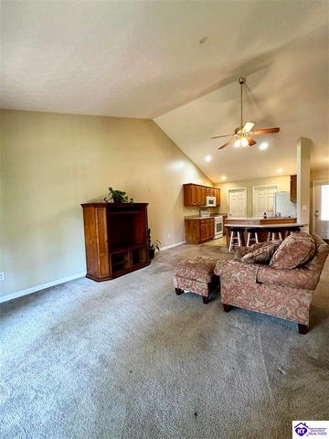 542A Hillcrest Drive, Brandenburg, KY 40108