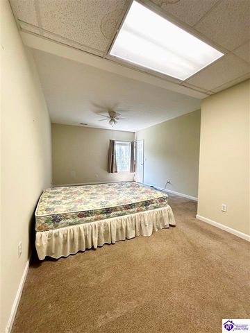 542A Hillcrest Drive, Brandenburg, KY 40108