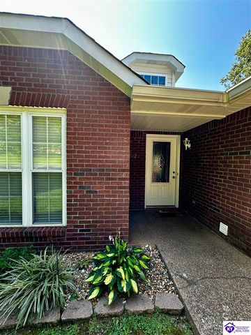 542A Hillcrest Drive, Brandenburg, KY 40108
