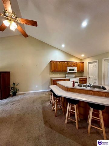 542A Hillcrest Drive, Brandenburg, KY 40108