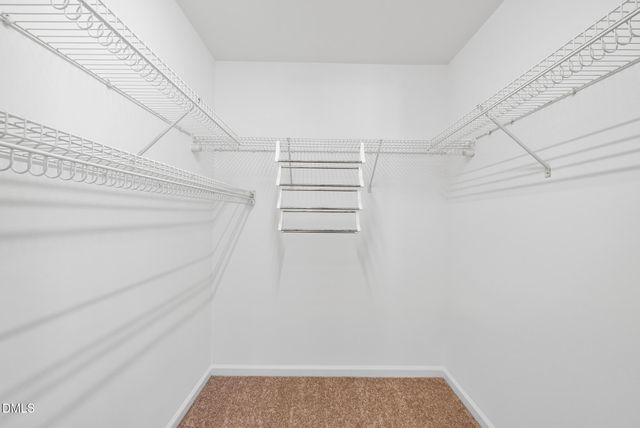 1024 Goldmist Lane, Durham, NC 27713