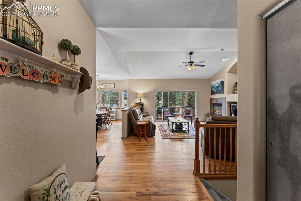 1308 Spruce Ridge Lane, Woodland Park, CO 80863 — photo 2
