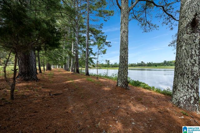 44 NUNNALLY LAKE ROAD, Ohatchee, AL 36271