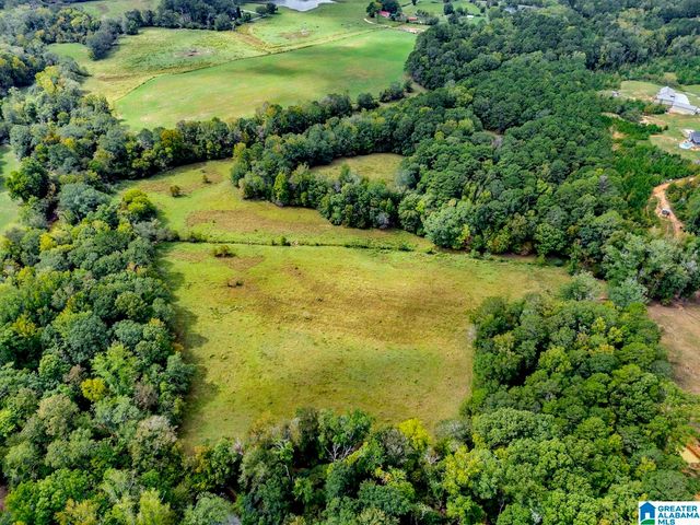 44 NUNNALLY LAKE ROAD, Ohatchee, AL 36271