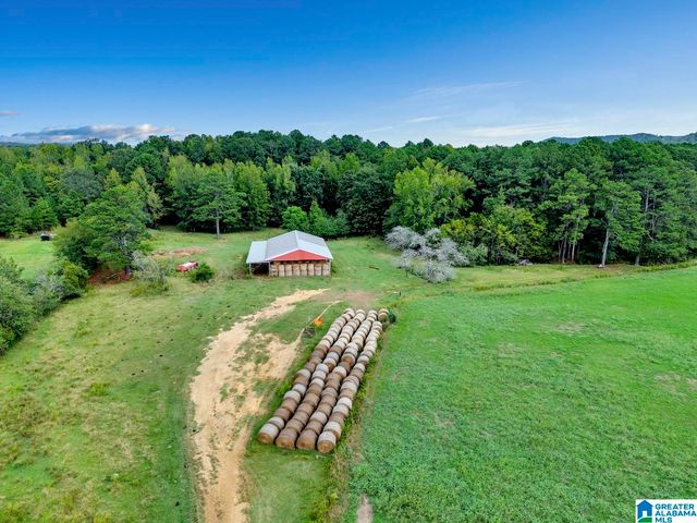 44 NUNNALLY LAKE ROAD, Ohatchee, AL 36271