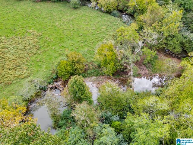 44 NUNNALLY LAKE ROAD, Ohatchee, AL 36271