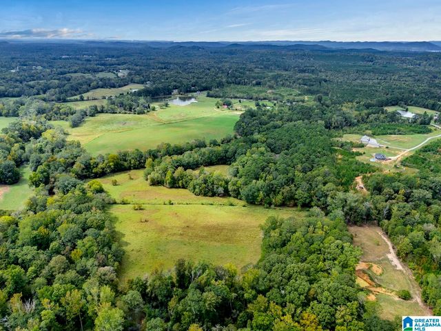 44 NUNNALLY LAKE ROAD, Ohatchee, AL 36271