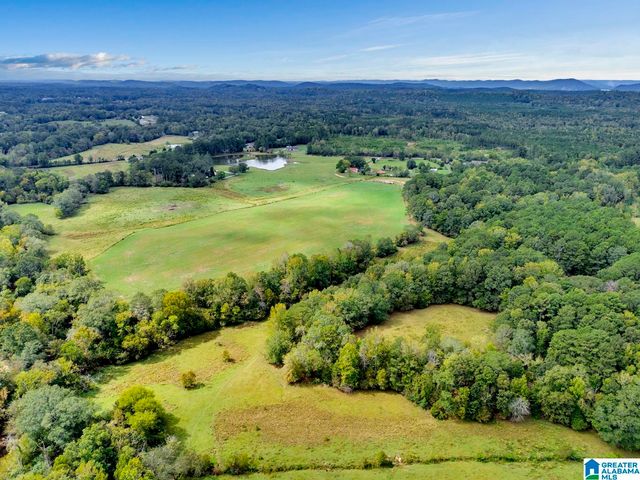 44 NUNNALLY LAKE ROAD, Ohatchee, AL 36271