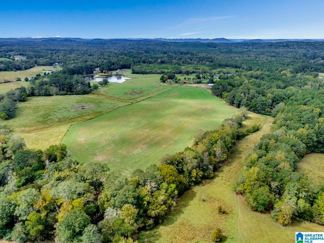 44 NUNNALLY LAKE ROAD, Ohatchee, AL 36271