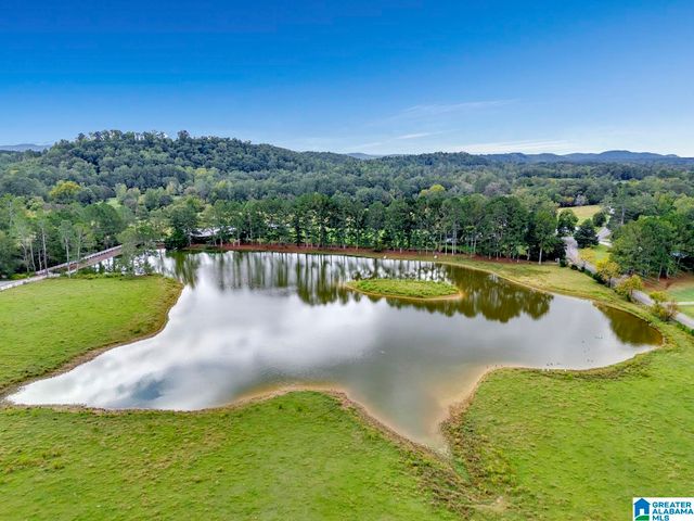 44 NUNNALLY LAKE ROAD, Ohatchee, AL 36271
